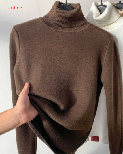 Womens Turtle Neck Sweater